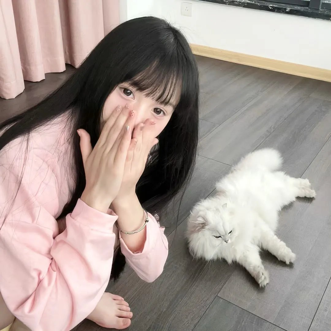肥猫斗小强电影版